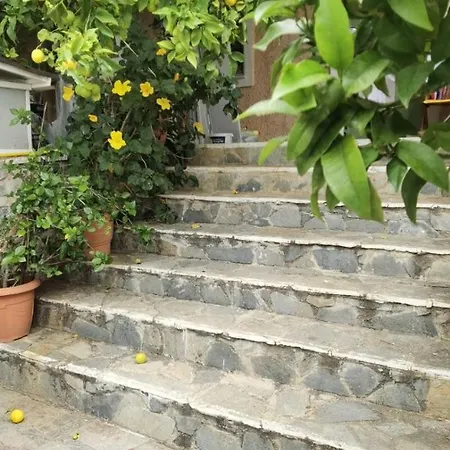 Divine Retreat Apartment